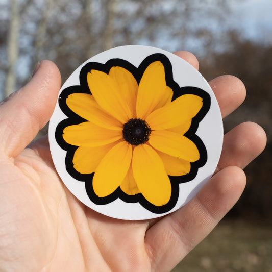 'Black Eyed Suzie' Flower Sticker